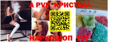 ALPHA PVP Гай