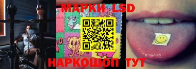 молекула духа Гатчина