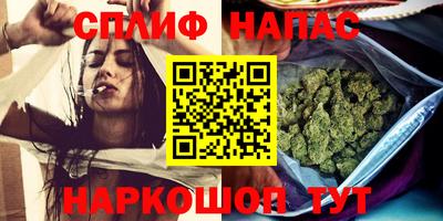 молекула духа Гатчина