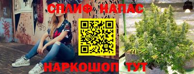 ALPHA PVP Гай