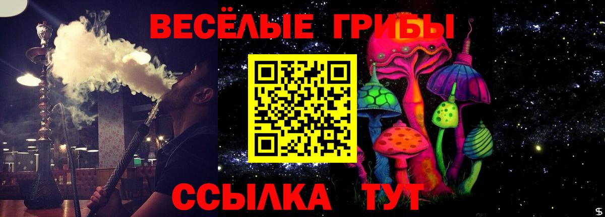 Протвино  Галлюциногенные грибы мицелий  Вход с VPN 
