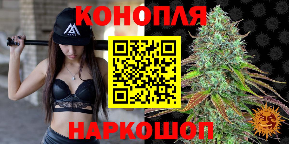 Канабис план Протвино
